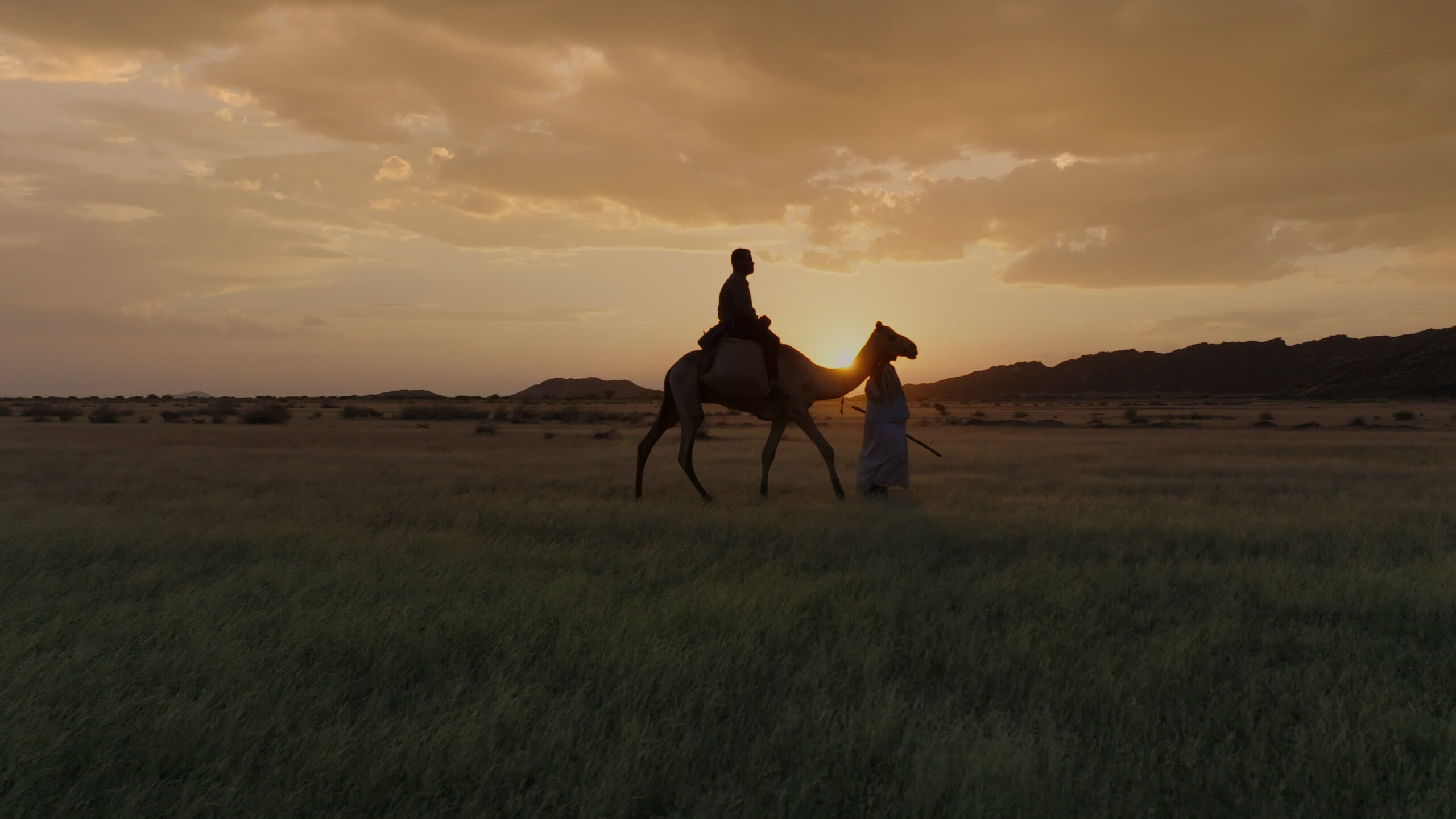 Still 2025-02-21 005918_1.22.1